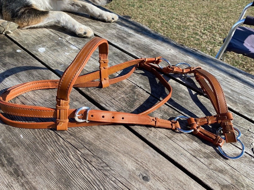 Padded leather Western horse training side pull