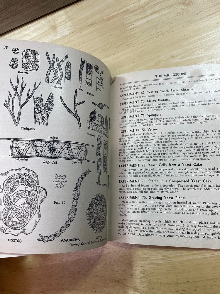 Vintage Gilbert Microscope Booklet How to use