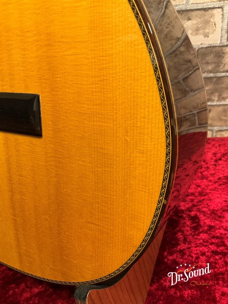 Juan Hernandez Maestro S, 2019 model.