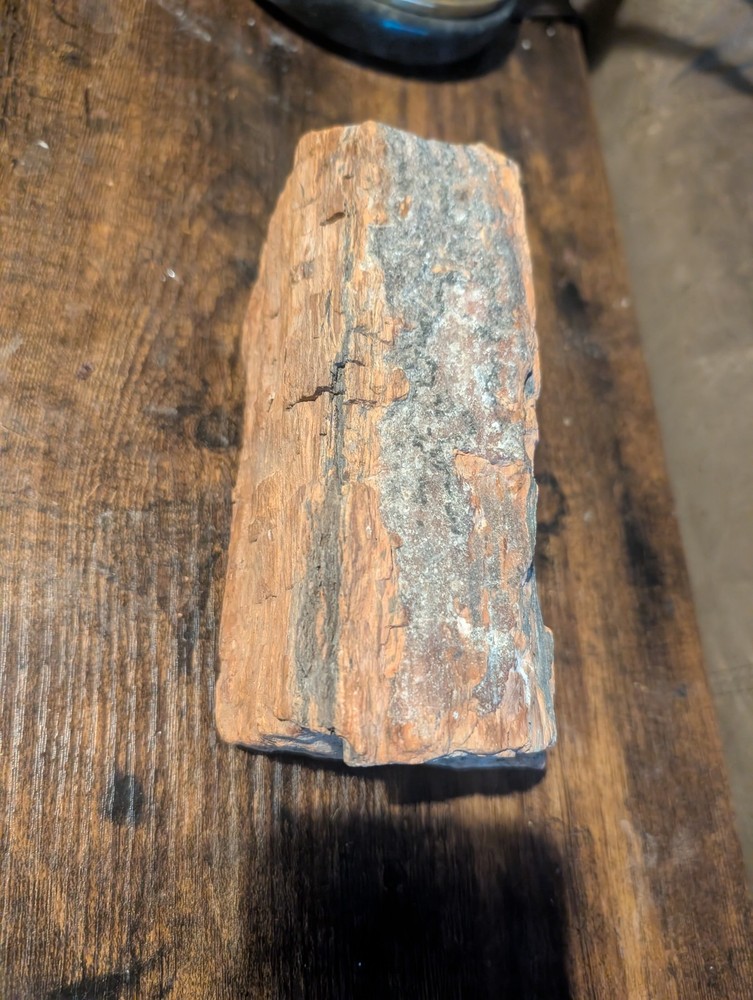 Petrified Wood