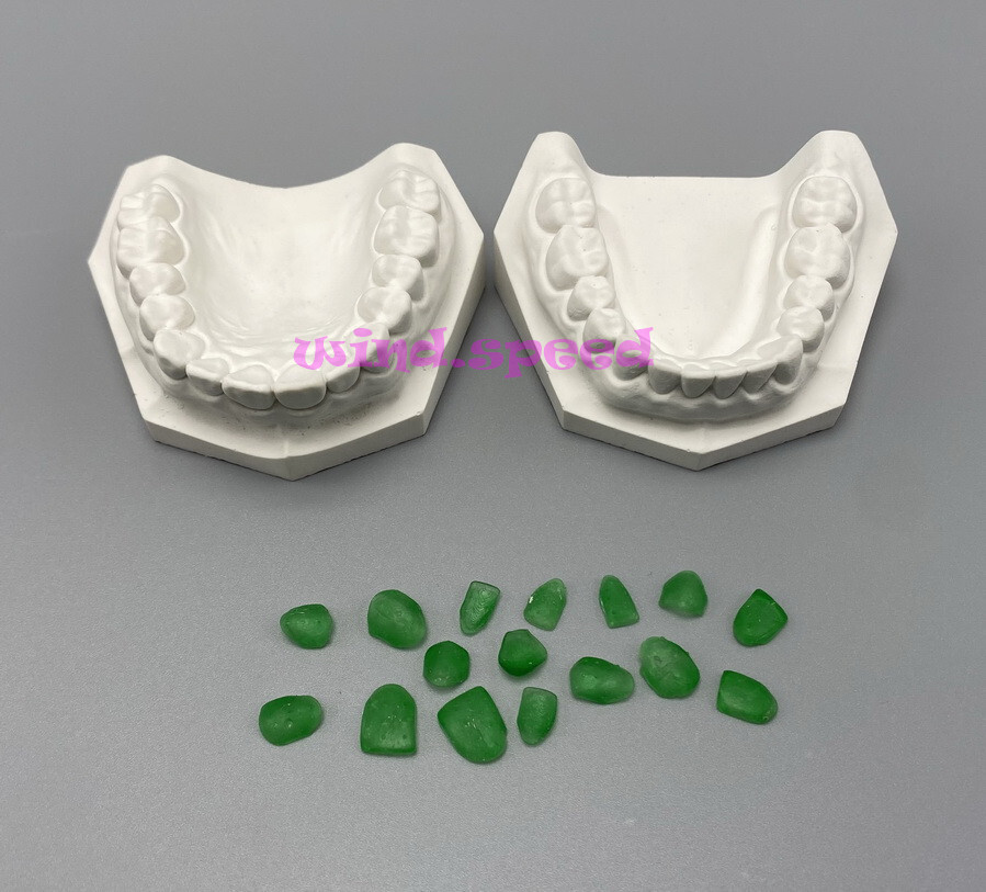 Dental Typodont Teeth Study Teach Model Implant Endo Caries Demonstration