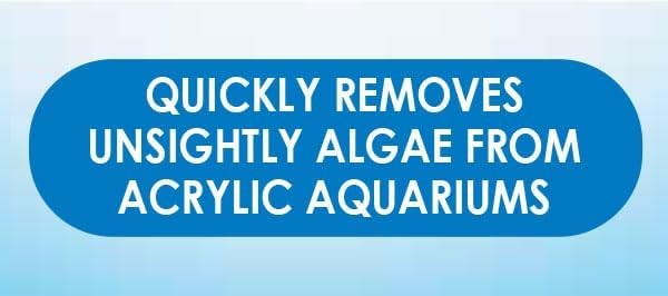 API Doc Wellfish's Hand Held Algae Pad Acrylic Aquariums Indestructible Clean
