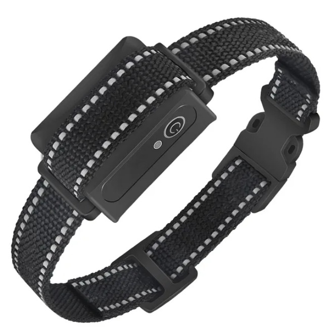 NEW✨Dog Training Collar Receiver IP67 Waterproof