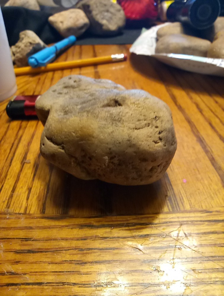 Fossils
