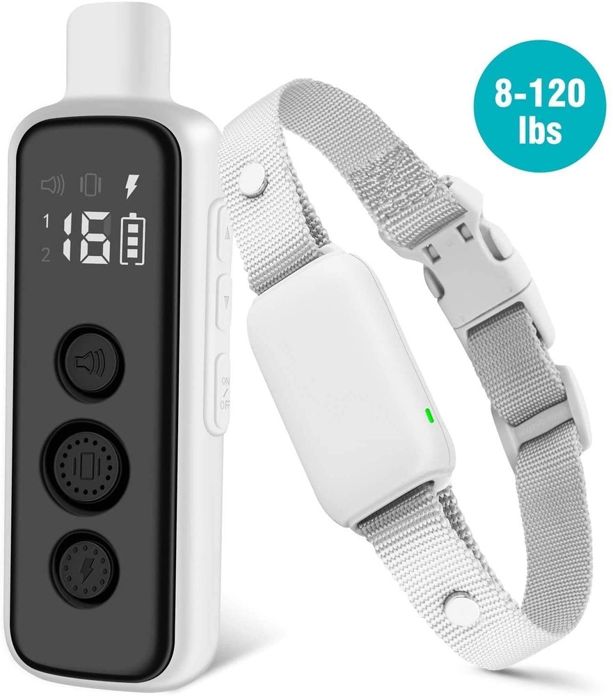 Contact Points and Silicone Points for 650 Collar