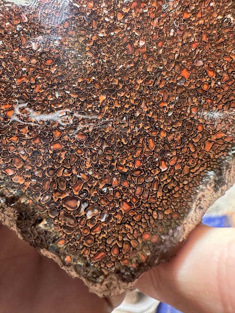 Dinosaur bone rough **hxtled slab.