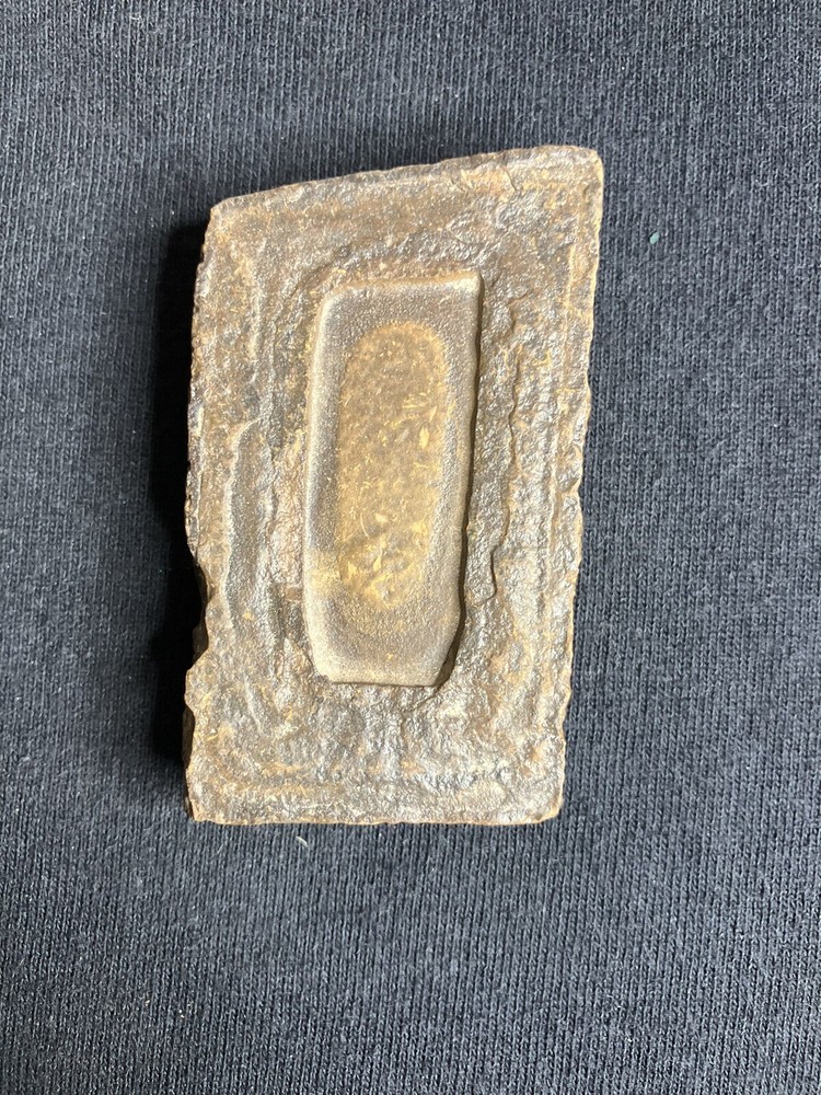 Stromatolite - fossil door