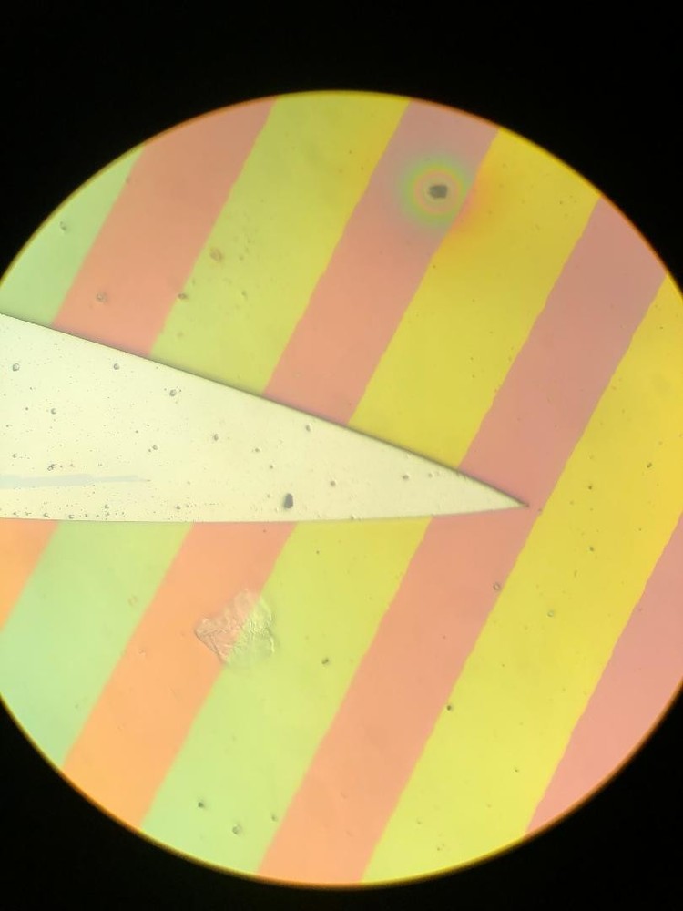 Leitz Metallurgical Plan 80x Objective - Tested