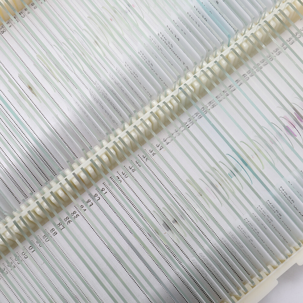 100PCS/Set Biological Glass Sample Prepared Basic Animal Plants Insects A0O7