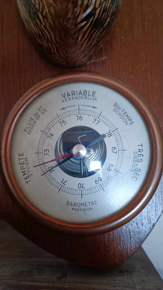 Vintage beautiful BAROMETER Climate Rain Thunderstorm.