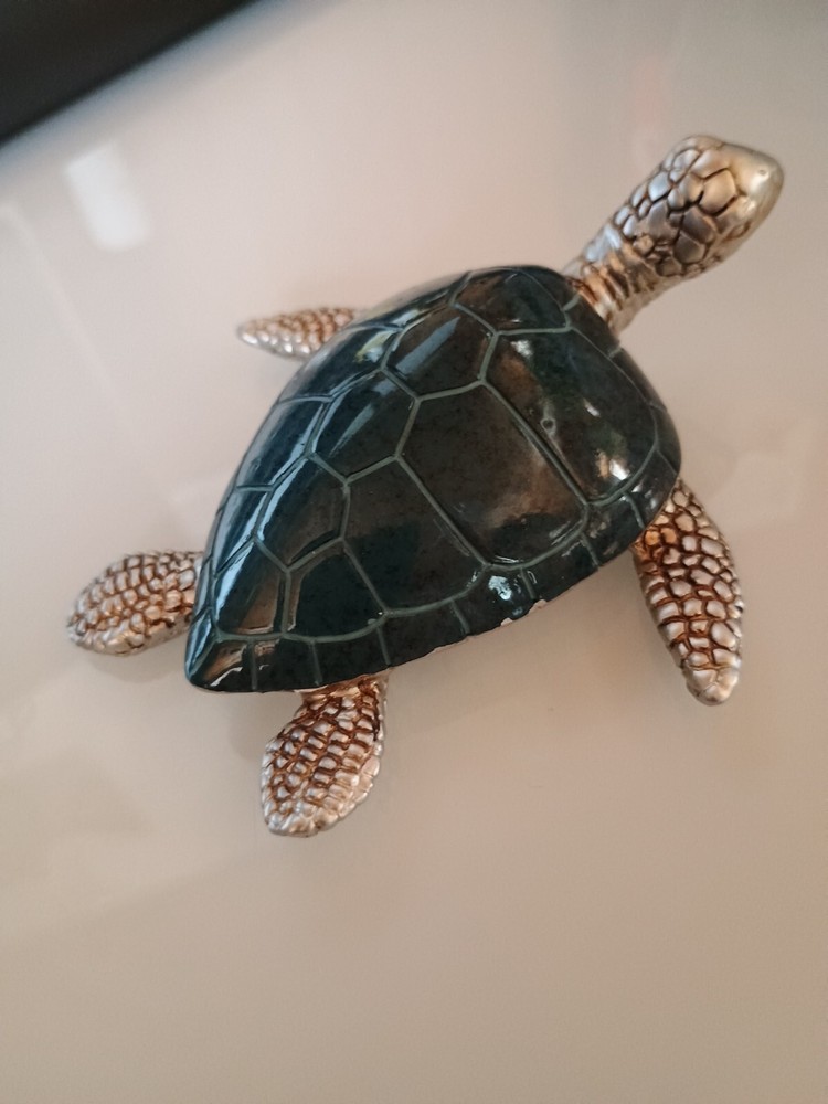 Blue And Silver Sea Turtle
