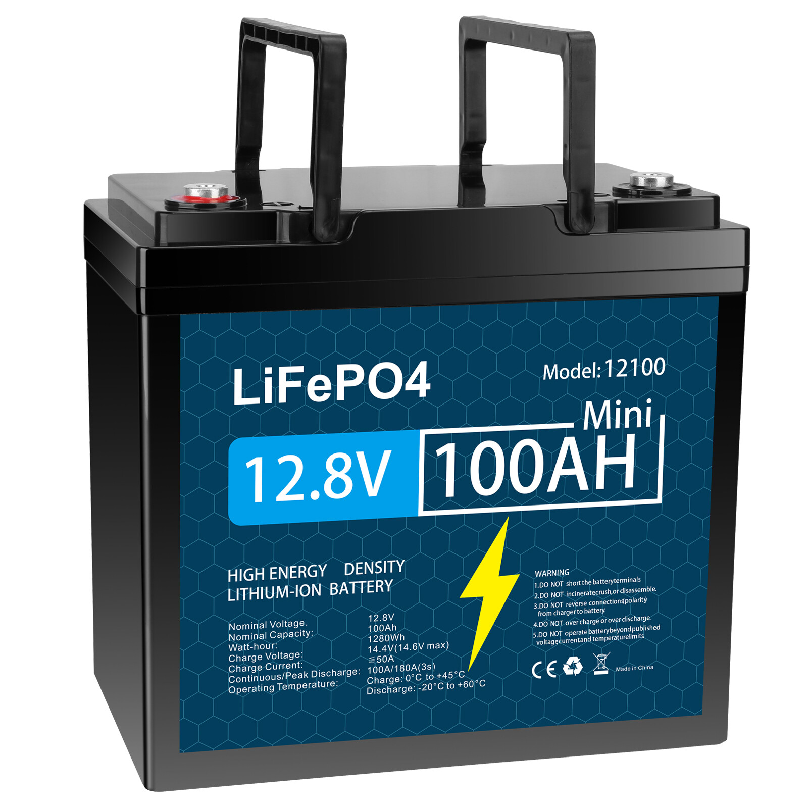 12V 100Ah LiFePO4 Lithium Battery with Charger, Built-in BMS, for Marine Lot