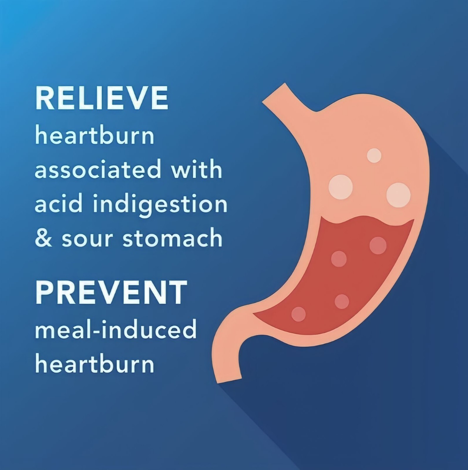Berkley jensen Maximum Strength Famotidine 20mg, Acid Reducer 200 Tablets 12/25+