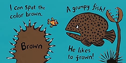 Colors with Little Fish