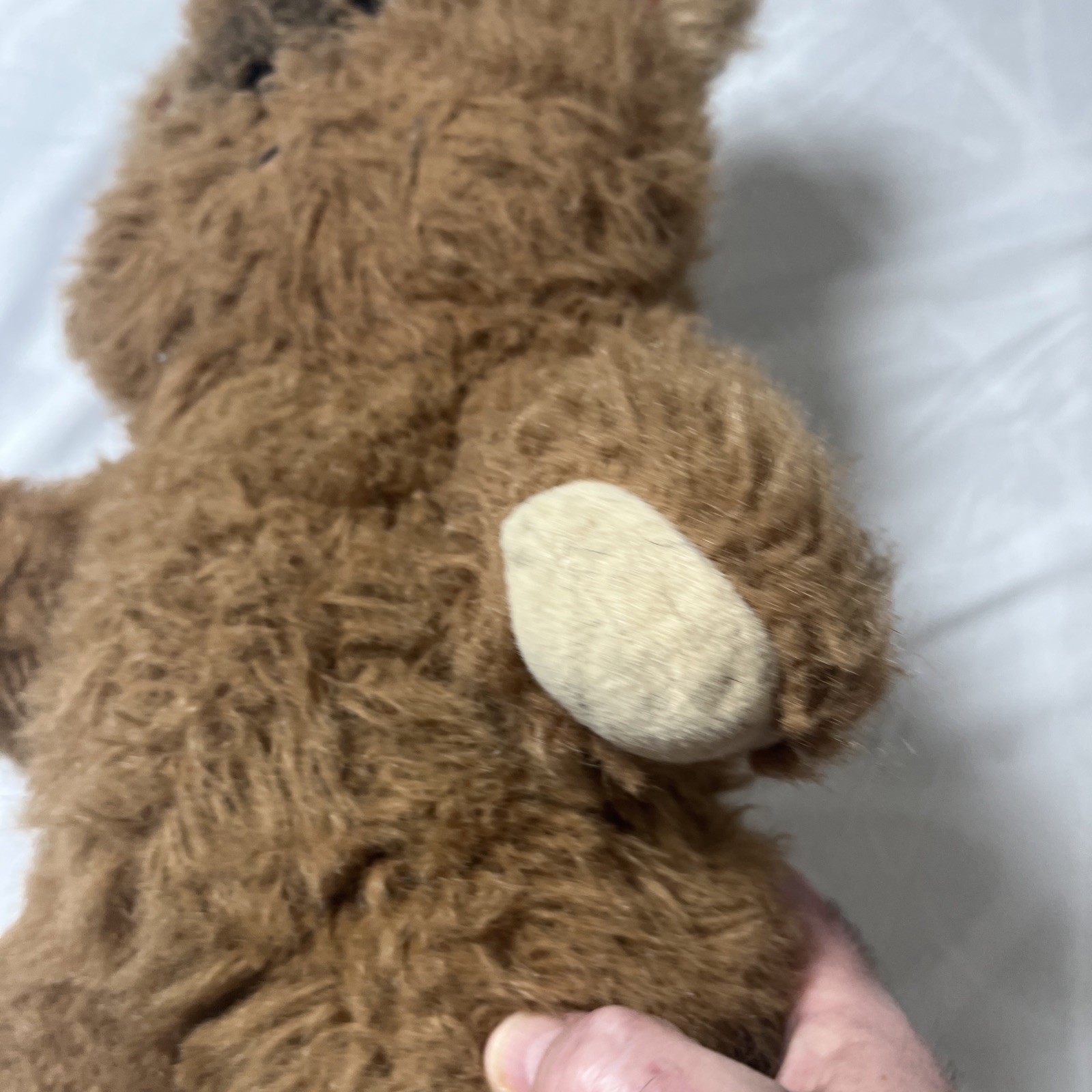 Star Wars Wicket The Ewok Plush Lucasfilm 15" 1983 Shaggy No Hood Vtg Kenner