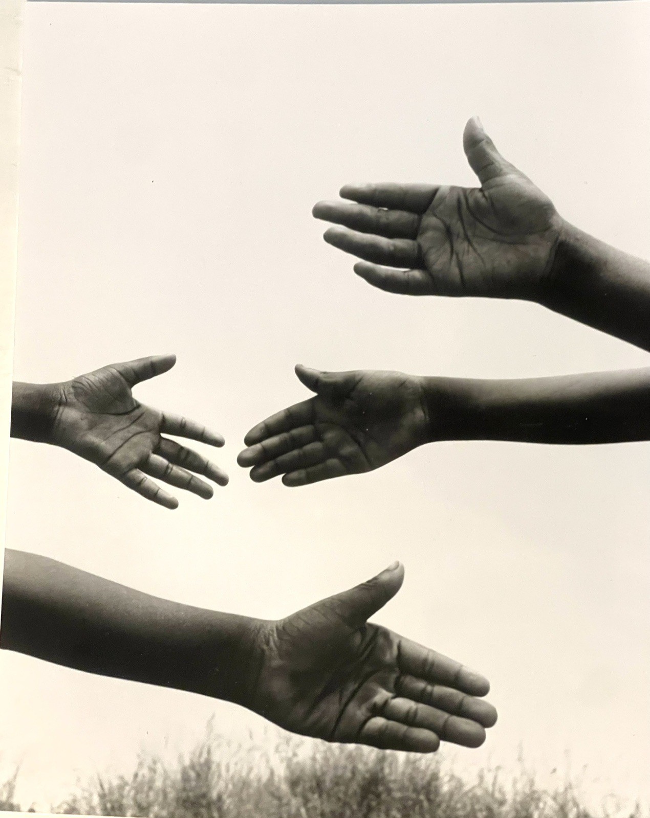 Keith Carter 1991 Silver Gelatin 8 X 10”Photograph titled Hands