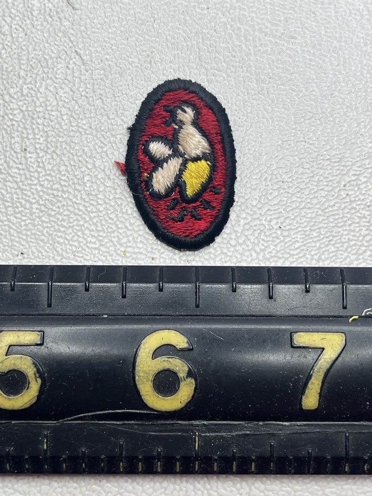 Vtg Itty-Bitty-Tiny I Think ? Tiny Chicken Chick Hatching ? Patch K033