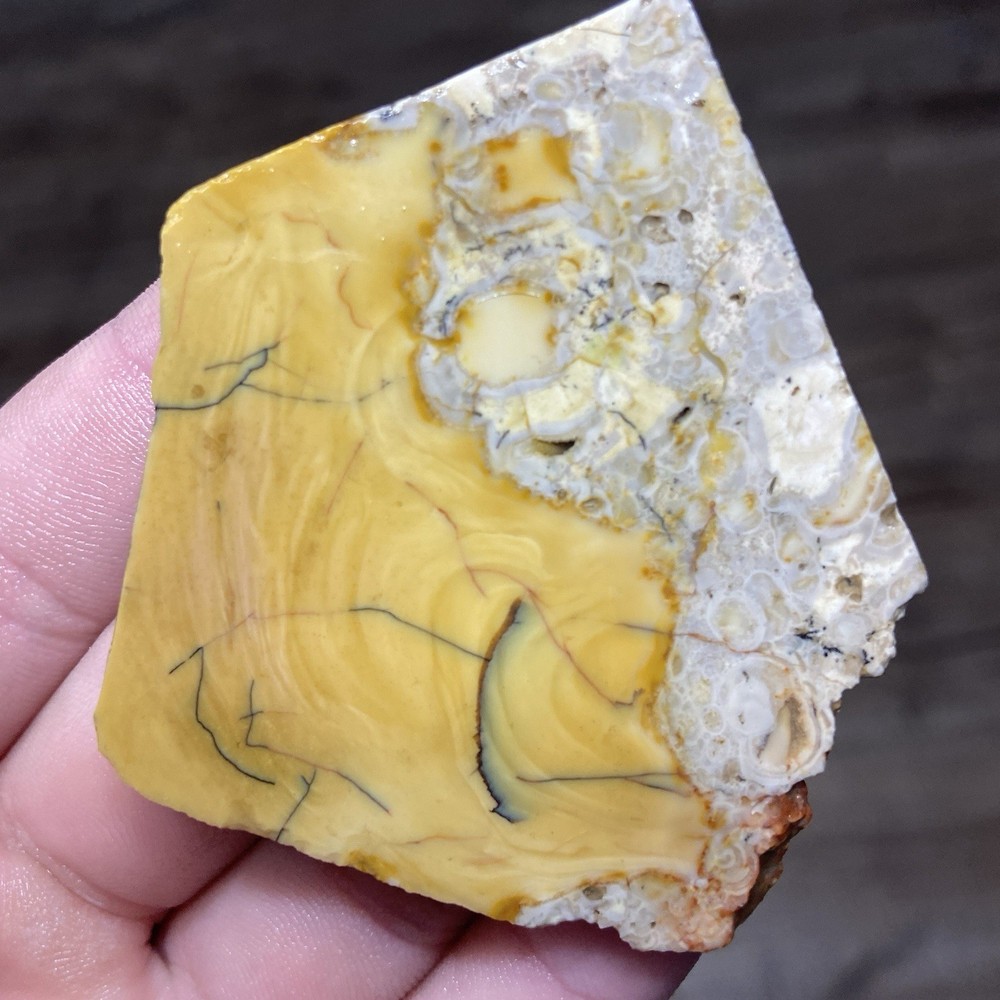 Dendrite Yellow Jasper Rough Cabbing Slab 1.21 Oz