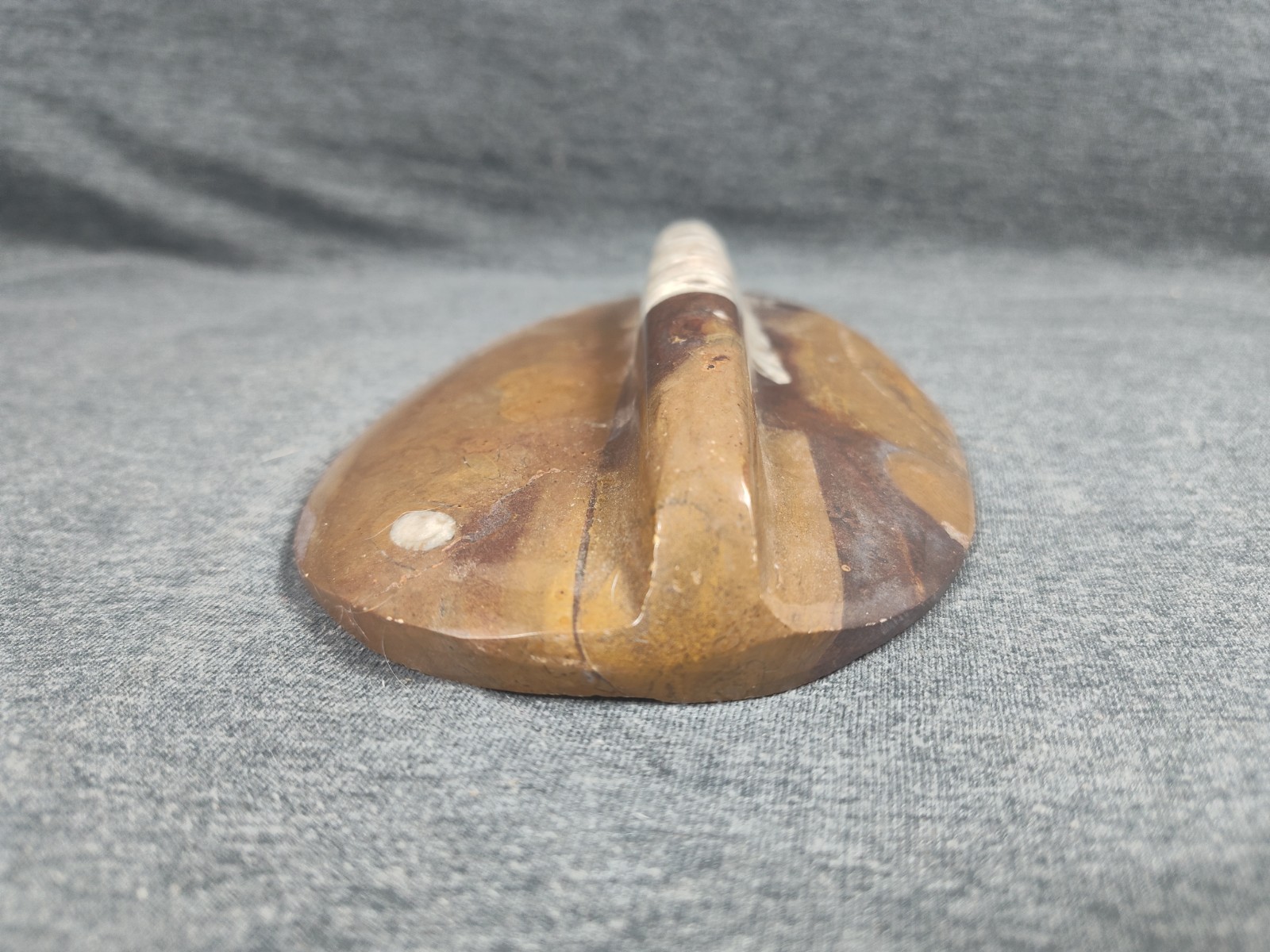 Large 7" Polished Orthoceras Fossil Specimen - Morocco 400MYO Prehistoric Decor