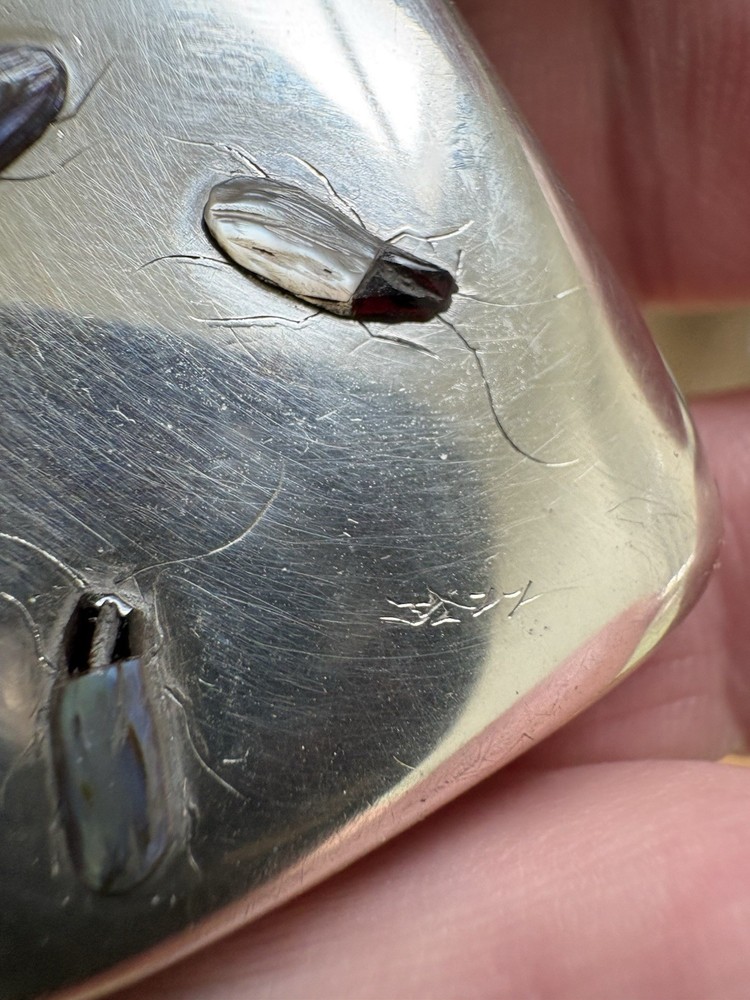 Solid Silver Hallmarked Vesta Case with Shibayama Design To Front.
