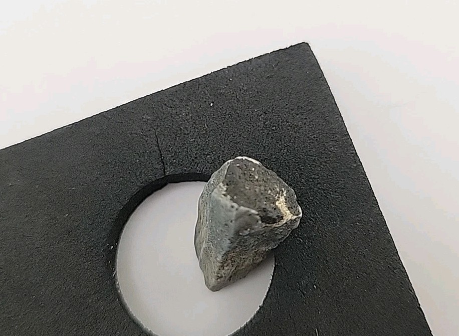 Fossil Dinosaur Tooth Permineralized Unknown Species