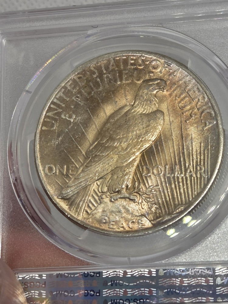 1925 $1 Peace Dollar PCGS MS63 Toned