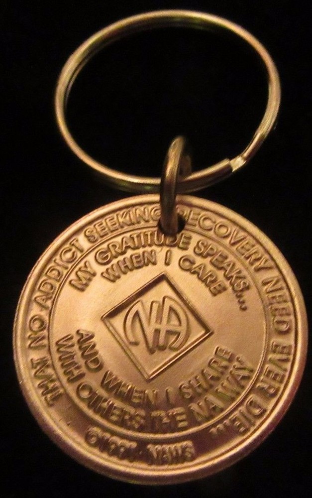 Narcotics Anonymous NA key tag 2 two year keyring medallion Clean