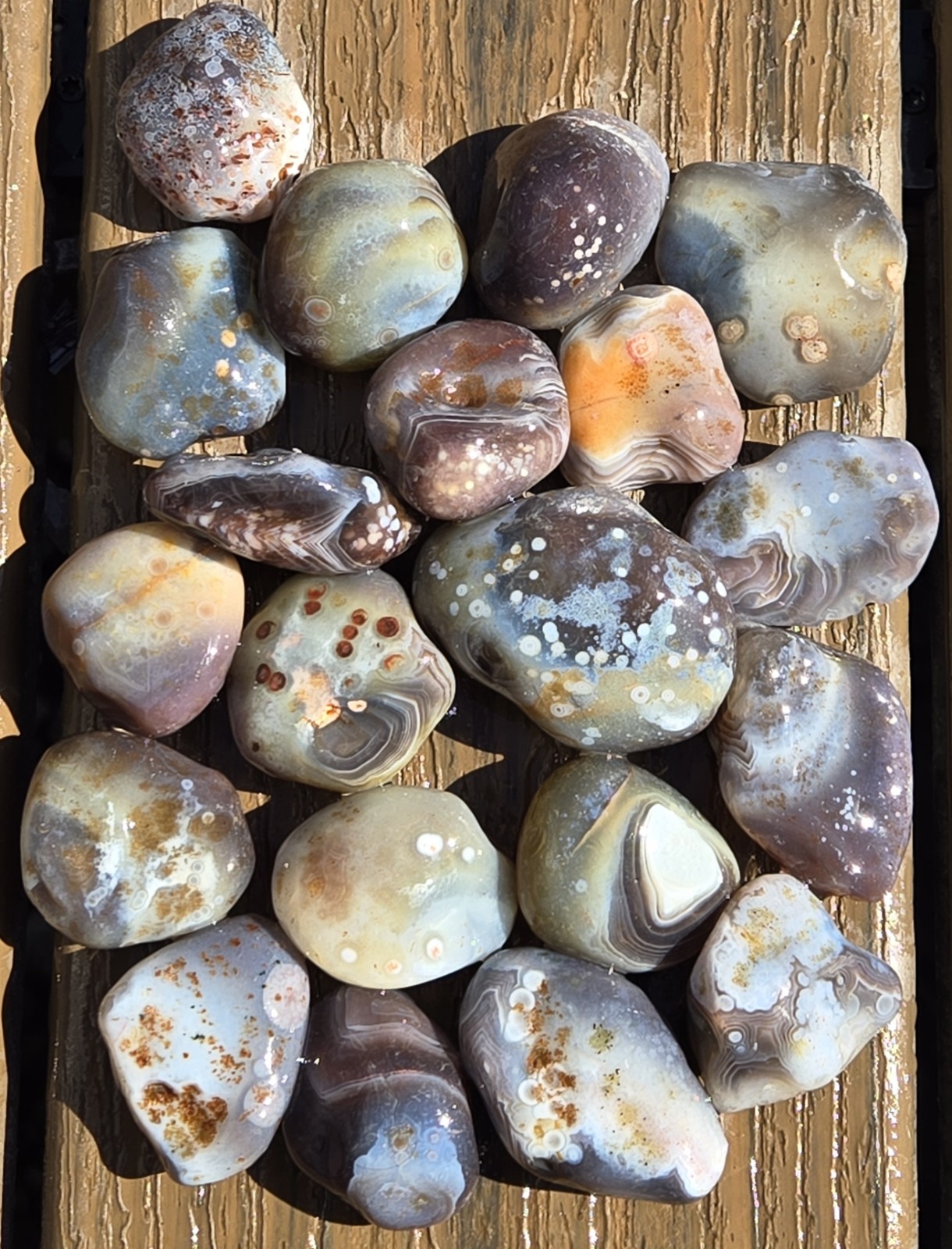 Botswana Agate Selects - DOTS AND SPOTS - Rough, Natural, Not Polished A+ Grade