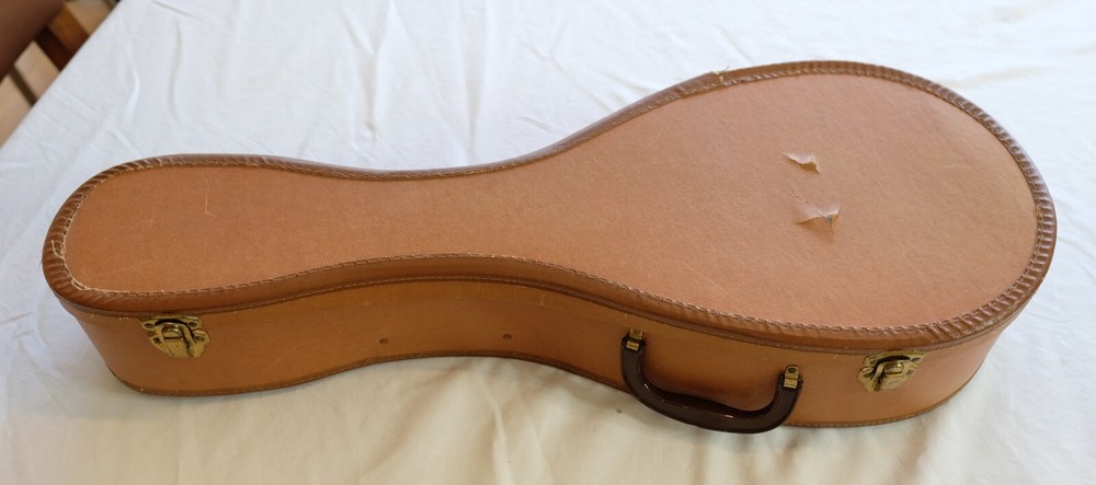 Vintage Silvertone Mandolin - Minor Defect - Sounds Decent
