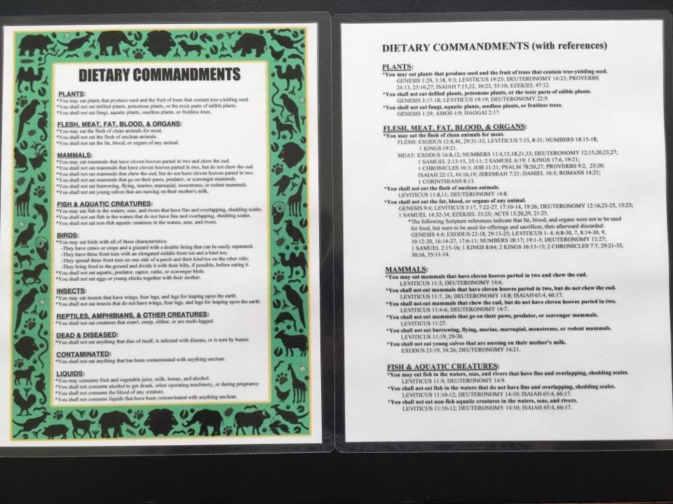 DIETARY COMMANDMENTS LAMINATED PRINT with Laminated Torah Scripture References