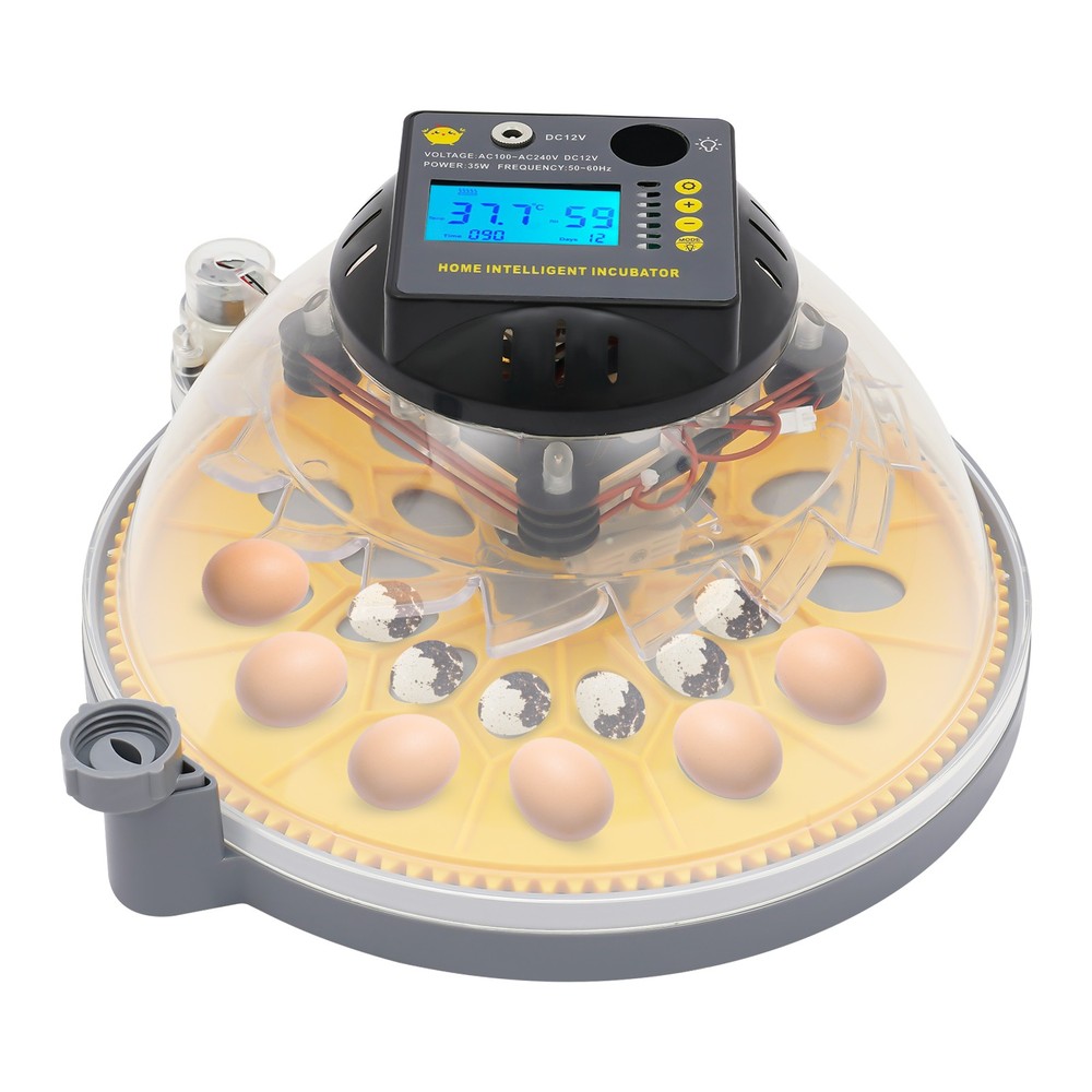 Egg Incubator for Hatching Egg w/ Automatic Egg Turning and Humidity Control