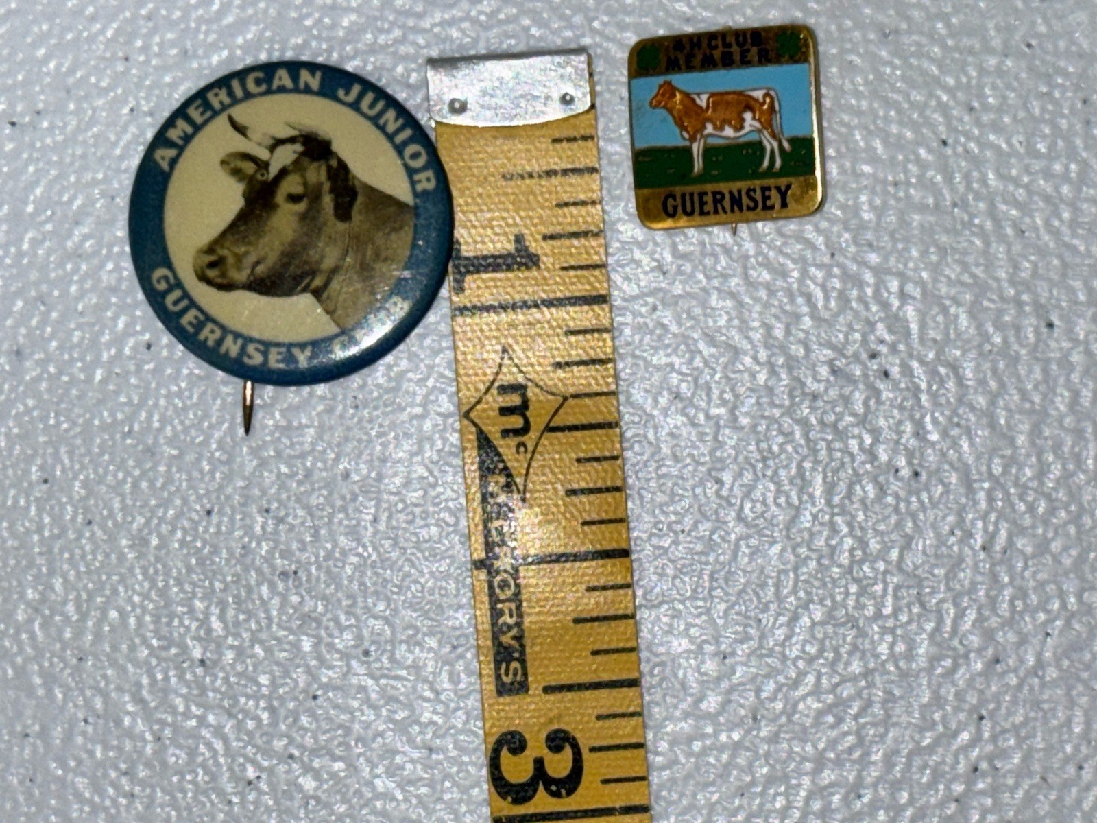 Vtg American Junior Guernsey Club + 4H Club Cow Pin Badge
