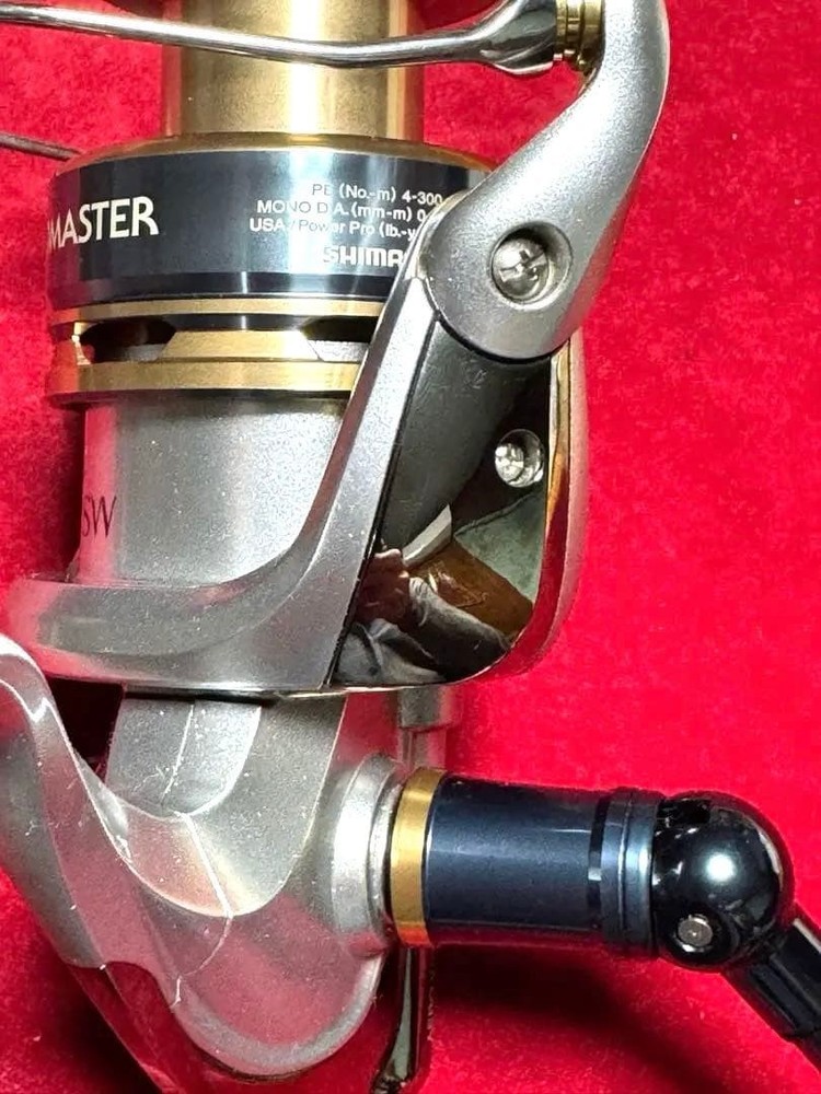 13 Biomaster SW 8000PG