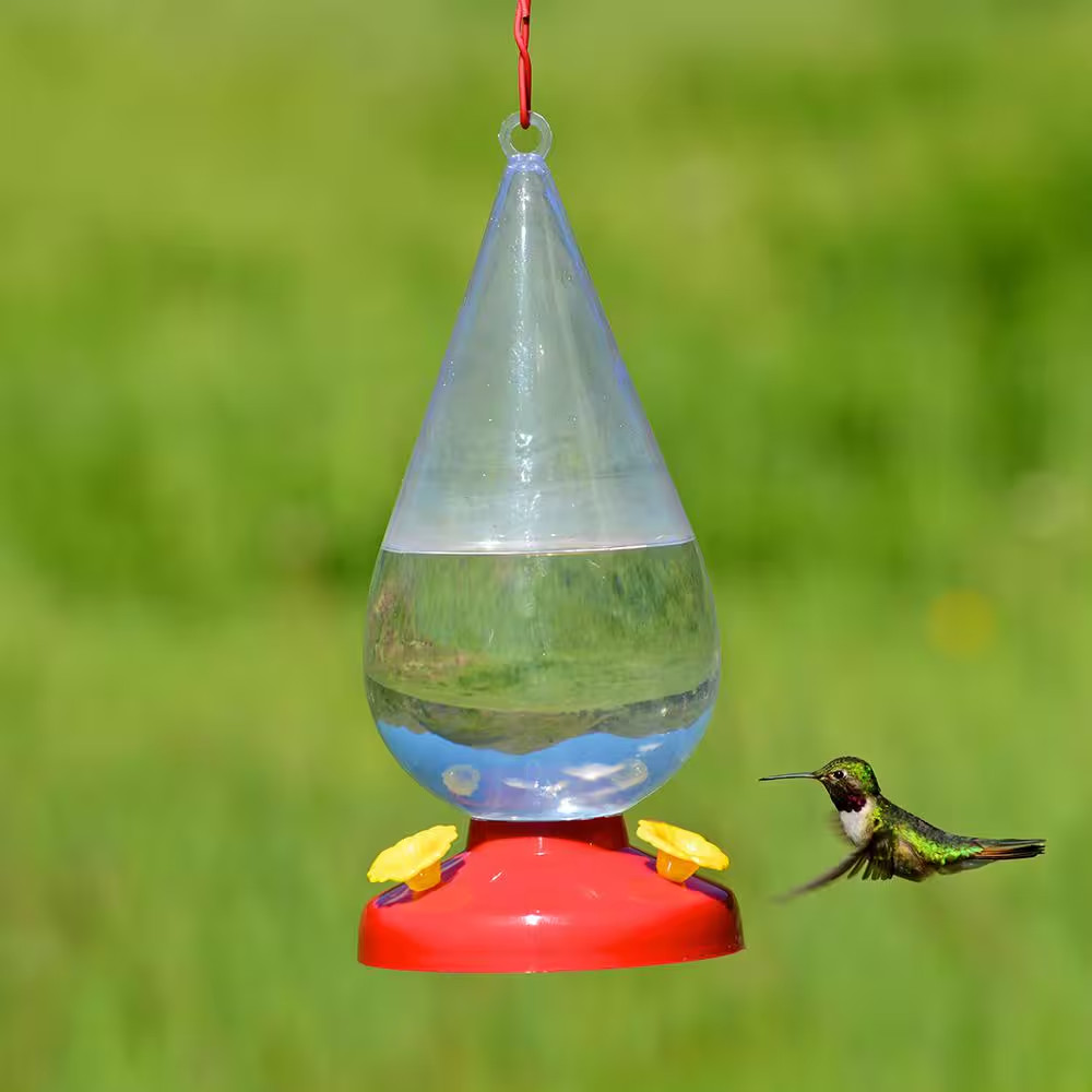Dew Drop Plastic Hummingbird Feeder - 32 Oz. Capacity