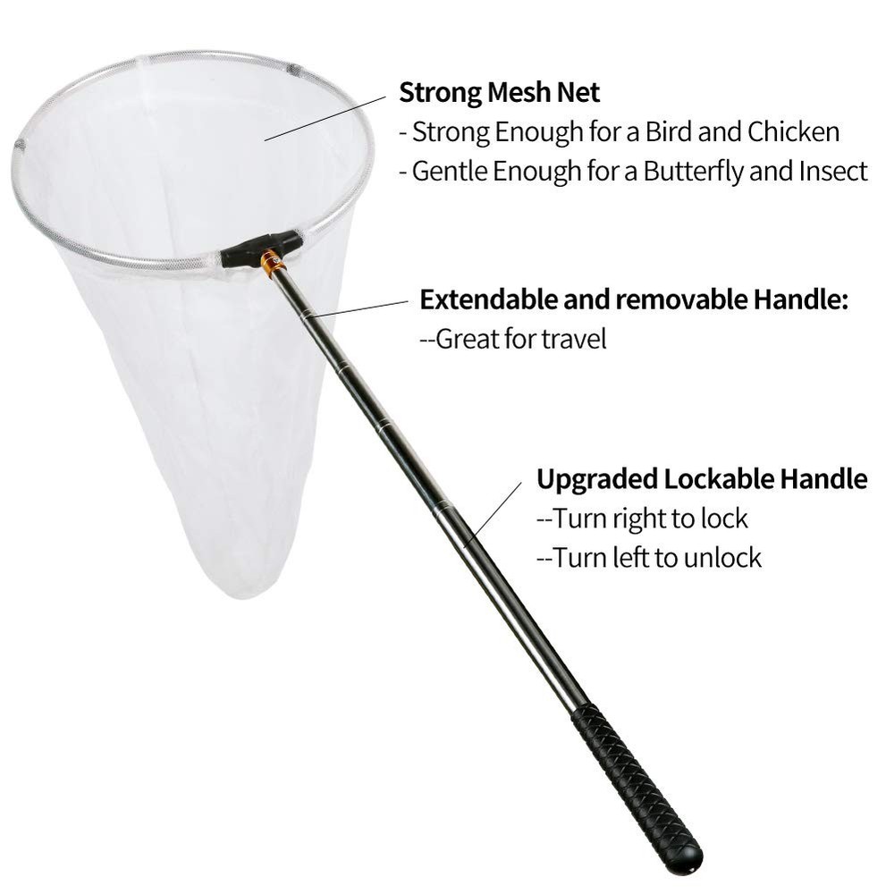 RESTCLOUD Insect and Butterfly Net with 12" Ring, 59" Handle, Multicolor