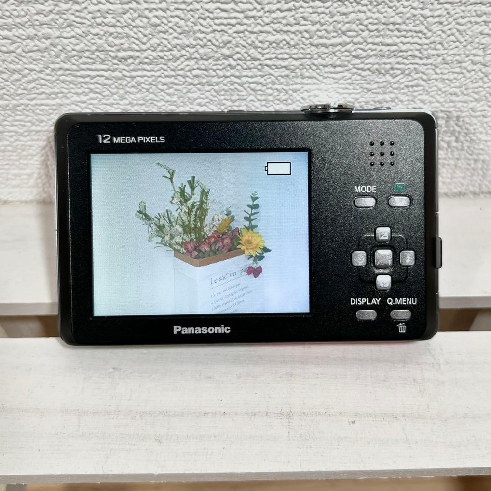 Panasonic Camera DMC FP1 Compact Digital Camera with LCD Display