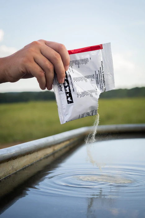 Vitamin & Electrolytes Plus, 4 oz pkg