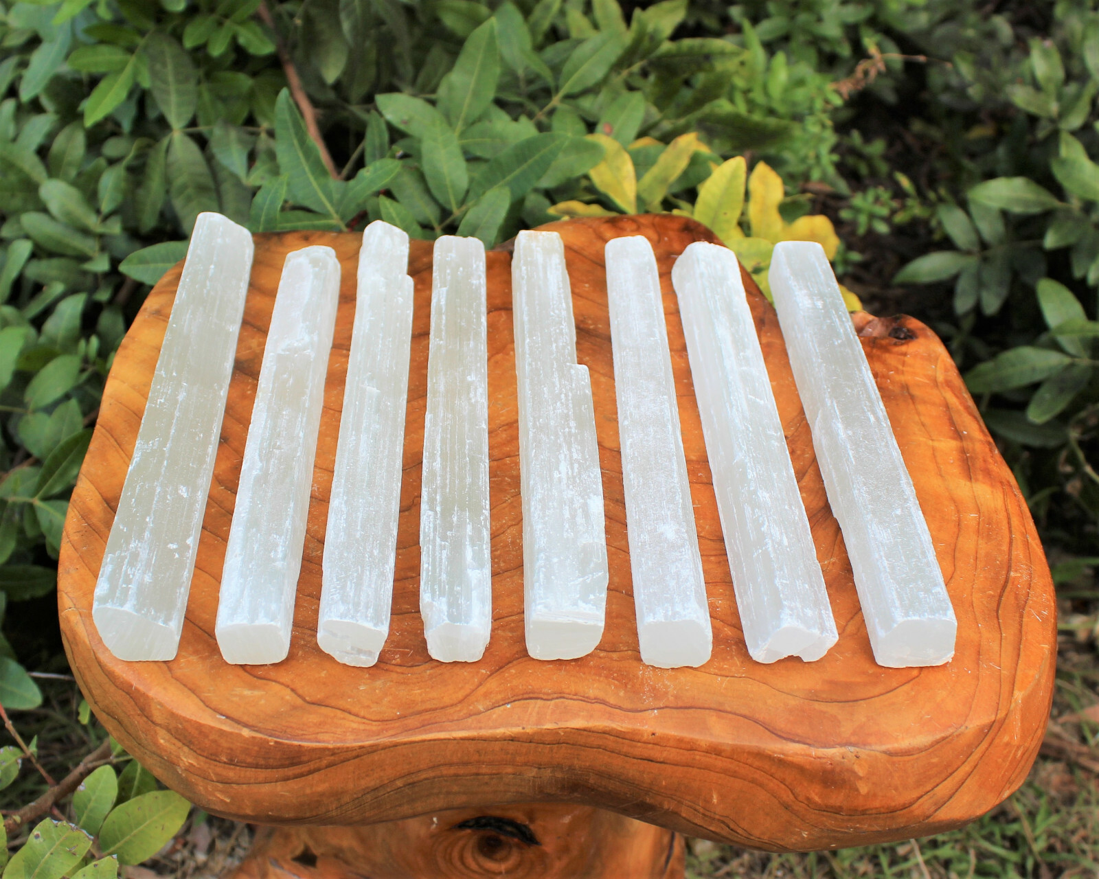 2 lb Bulk Wholesale Lot 7" - 8" Selenite Logs Crystal Sticks Wand Blade 2 Pounds