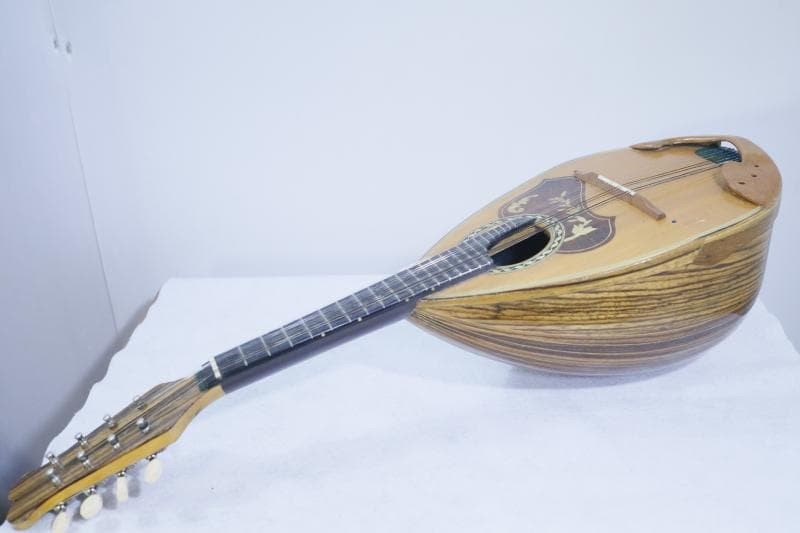 ◆Kunishima Mandolin No.106 ◆With hard case