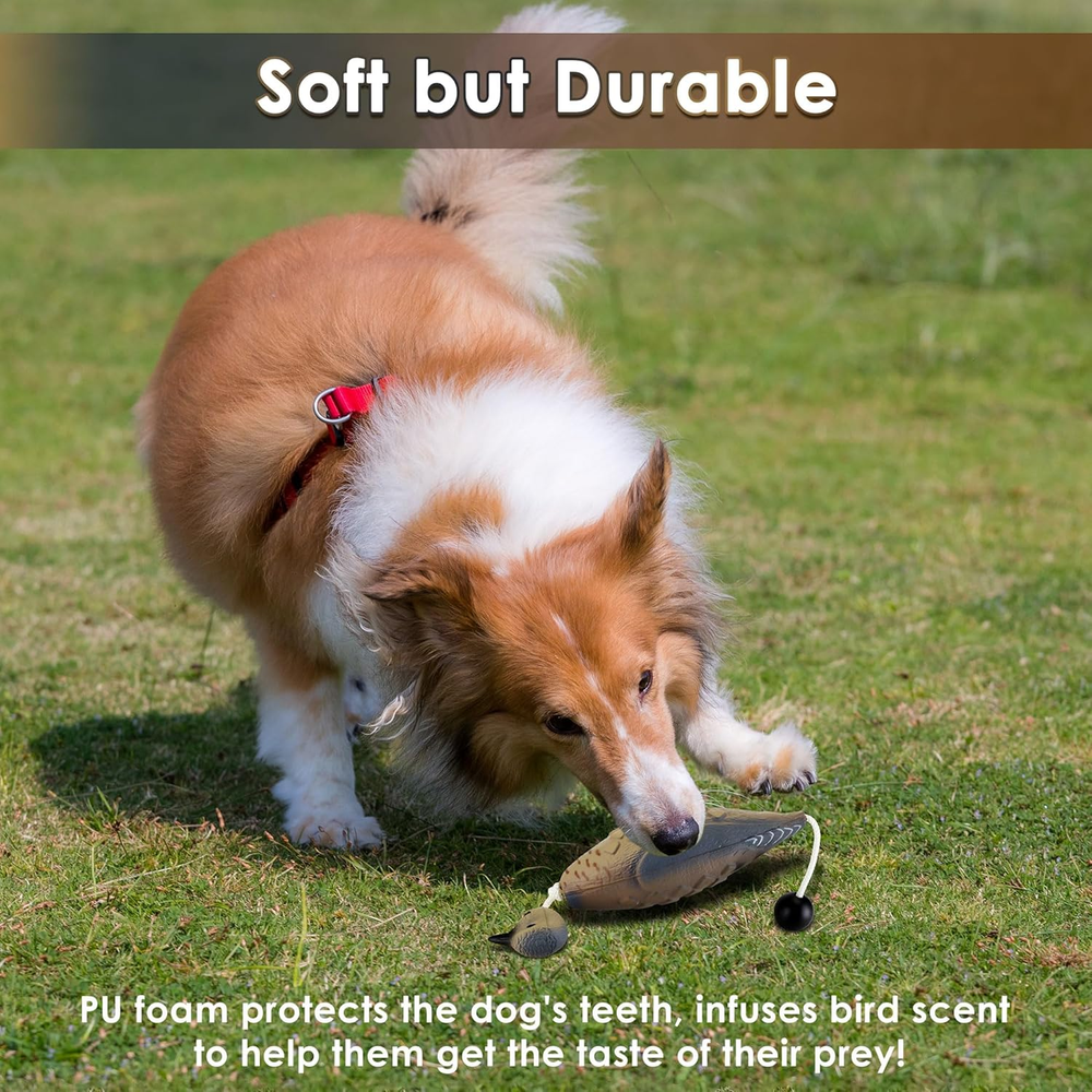 Hunting Dog Training Dummies - Floating Retriever Trainer & Interactive Toy 2 Pk