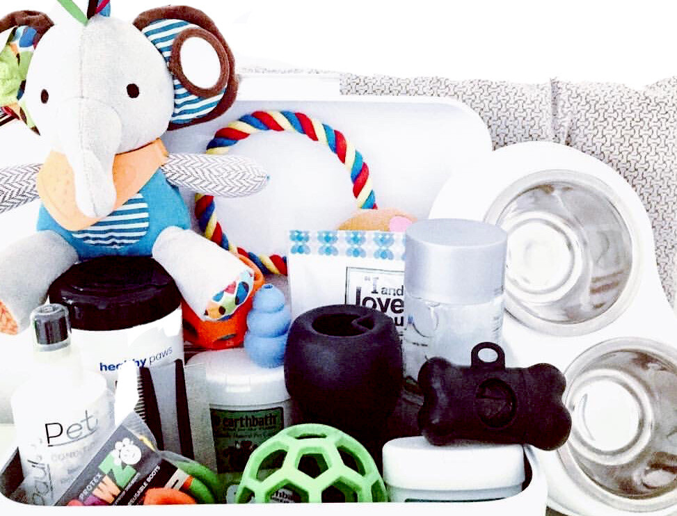 DOG GROOMING CLEAN & CARE KIT