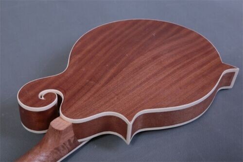 SOLID KENTUCKY STYLE LUITHIER DO IT YOURSELF ACOUSTIC F-MODEL MANDOLIN