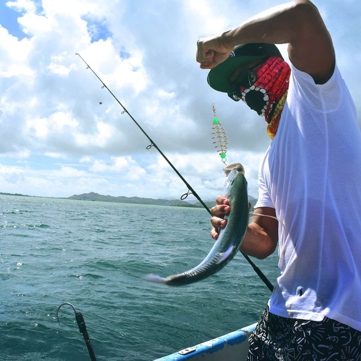 24Pcs Spring Carp Feeder Spring Fishing Feeder Bait Carp Fishing Baits Hook US