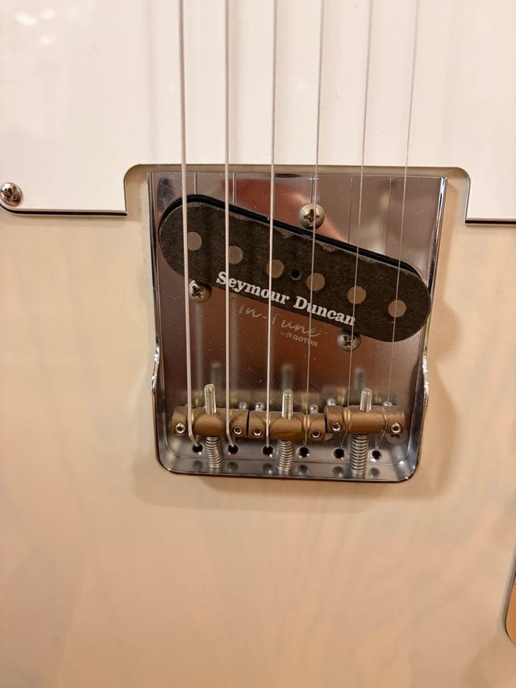 Edwards E-TE-100MLT Telecaster type Safe Packing!