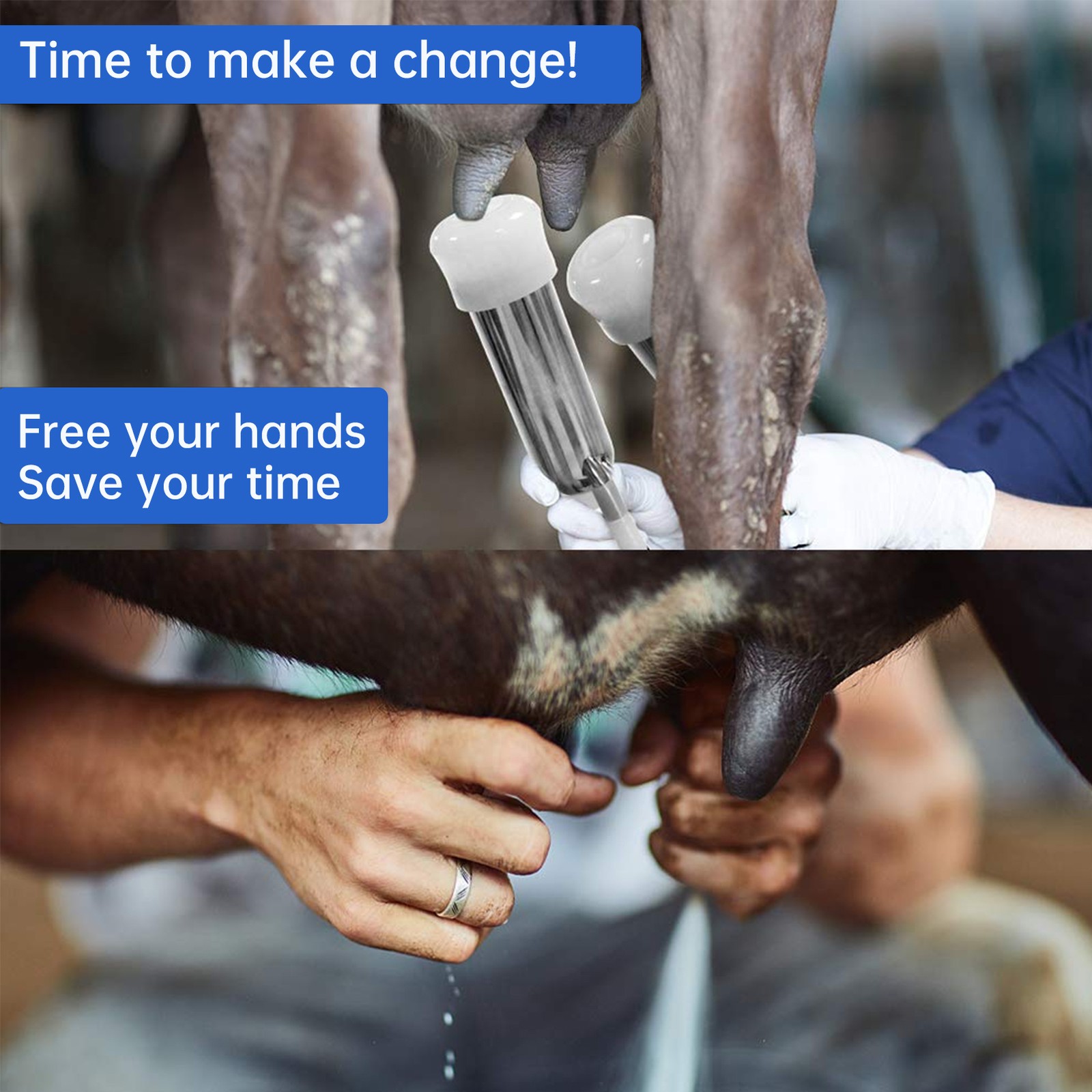 3L Portable Electric DualHead Sheep Goat Milking Machine Cow Milker Vacuum Pump