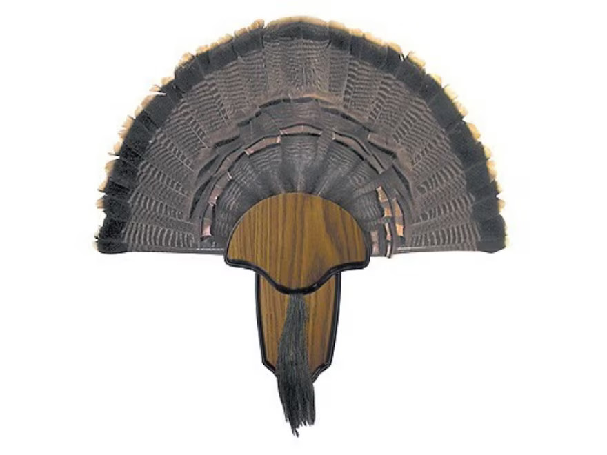 HS Strut Tail and Beard Turkey Mounting Kit
