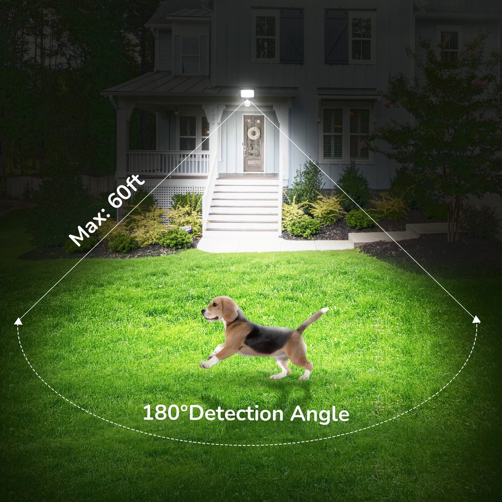 EDISHINE Motion Sensor, Automatic Dusk to Dawn, 180 Degree Replacement White