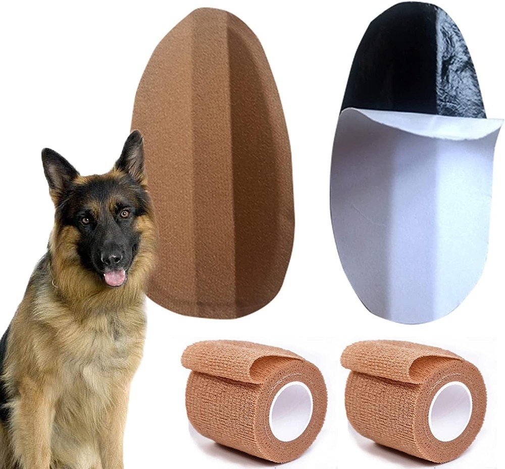 Dog Ear Stand Sticker Up Support Tool Dog Ear Fixed Correction Vertical Holder