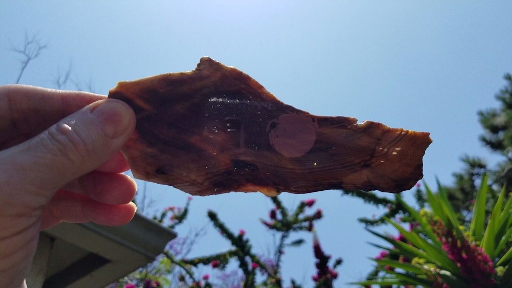 Herringbone Hell's Canyon Petrified Wood Slab