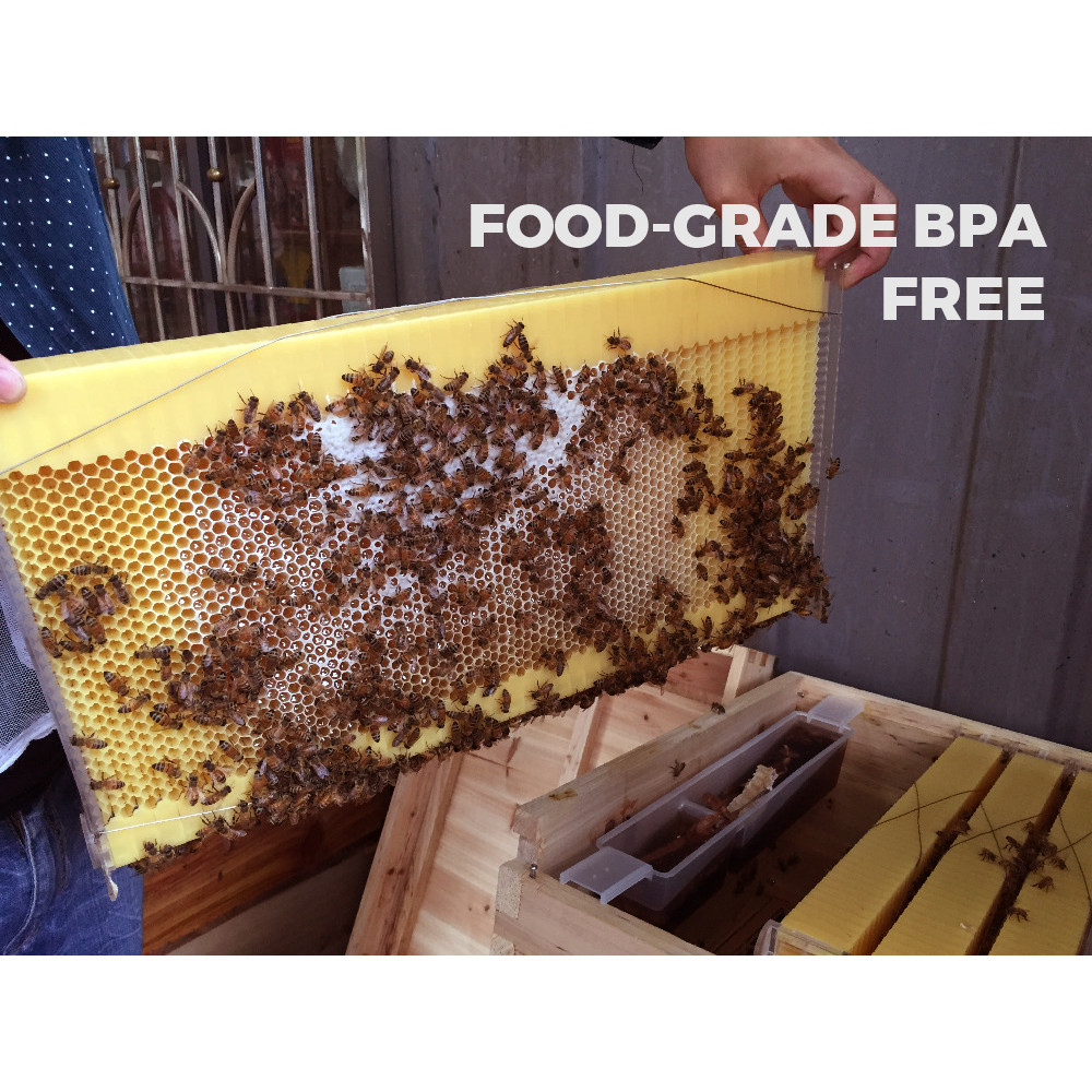 7 Auto Shed Beehive House Boxes Upgraded Honeycombe Bee Frames Beekeeping Frames